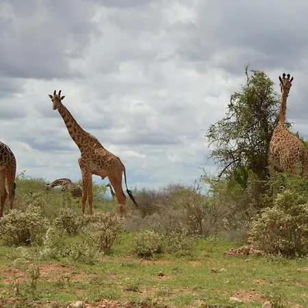 Wild Amboseli Ndovu Cottage. Exterior photo