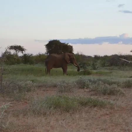 Wild Amboseli Ndovu Cottage. Exterior photo