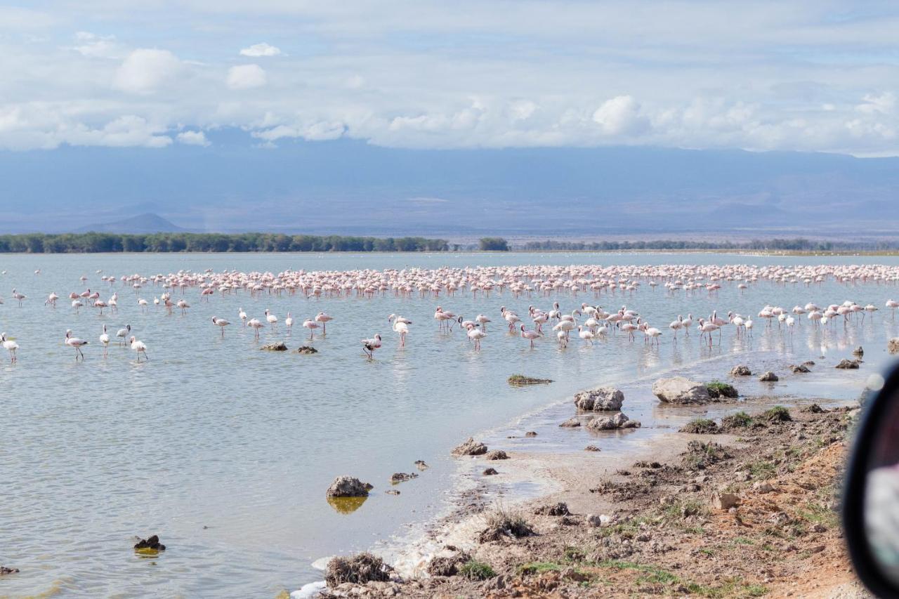 Wild Ndovu Cottage. Amboseli