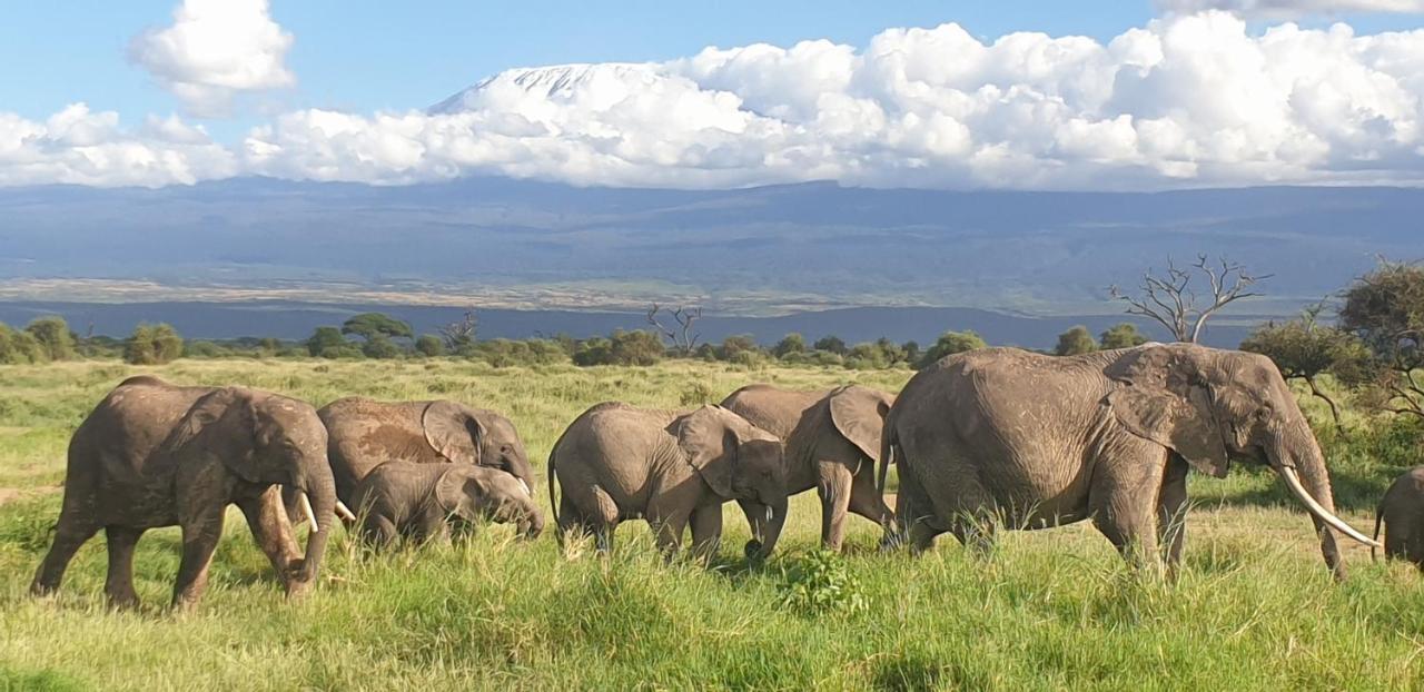 Wild Ndovu Cottage. Country house Amboseli