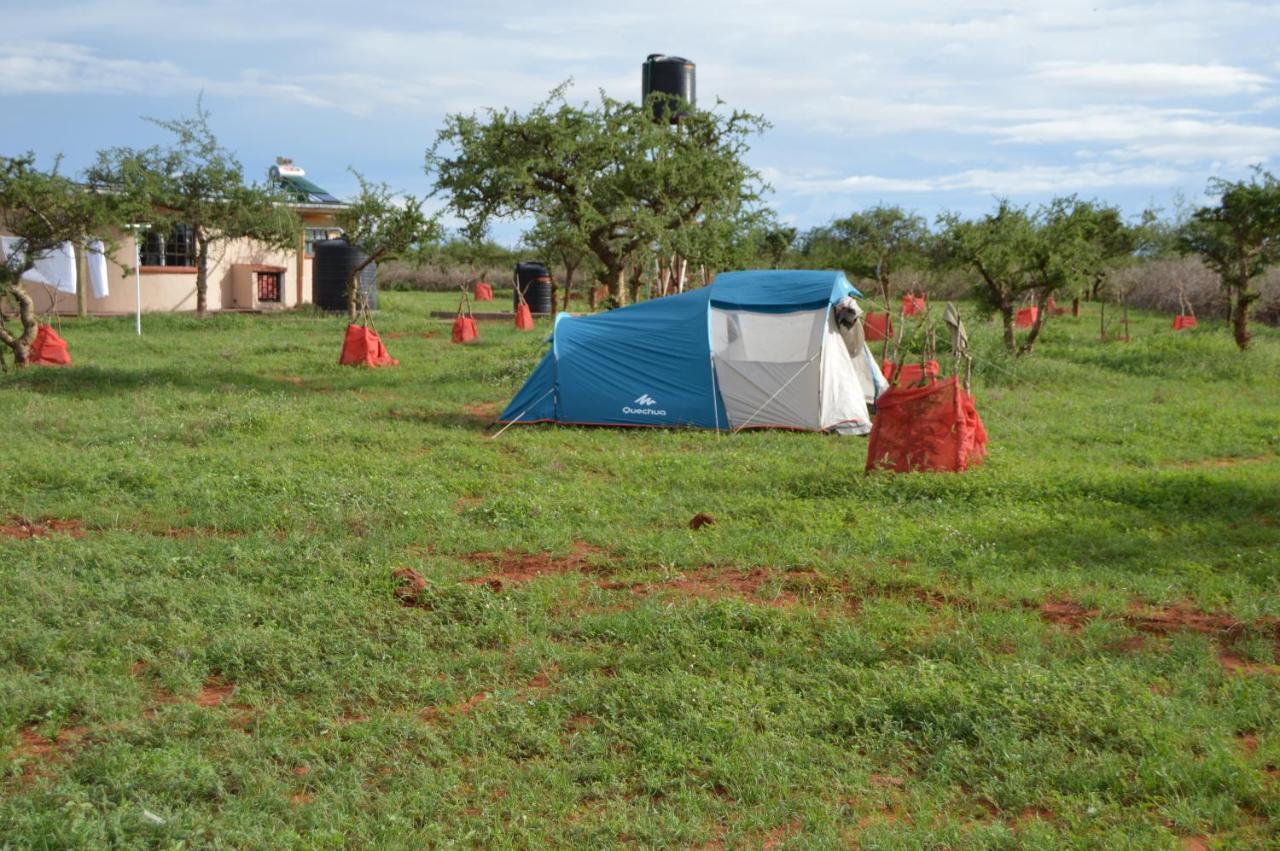 Wild Ndovu Cottage. Country house *