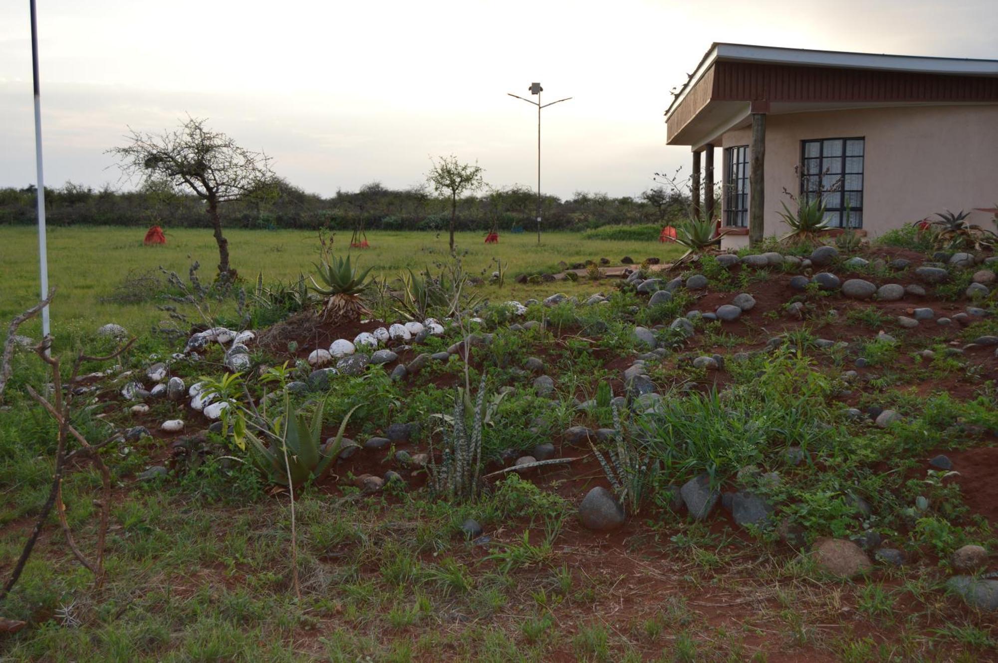 Wild Ndovu Cottage. * Amboseli
