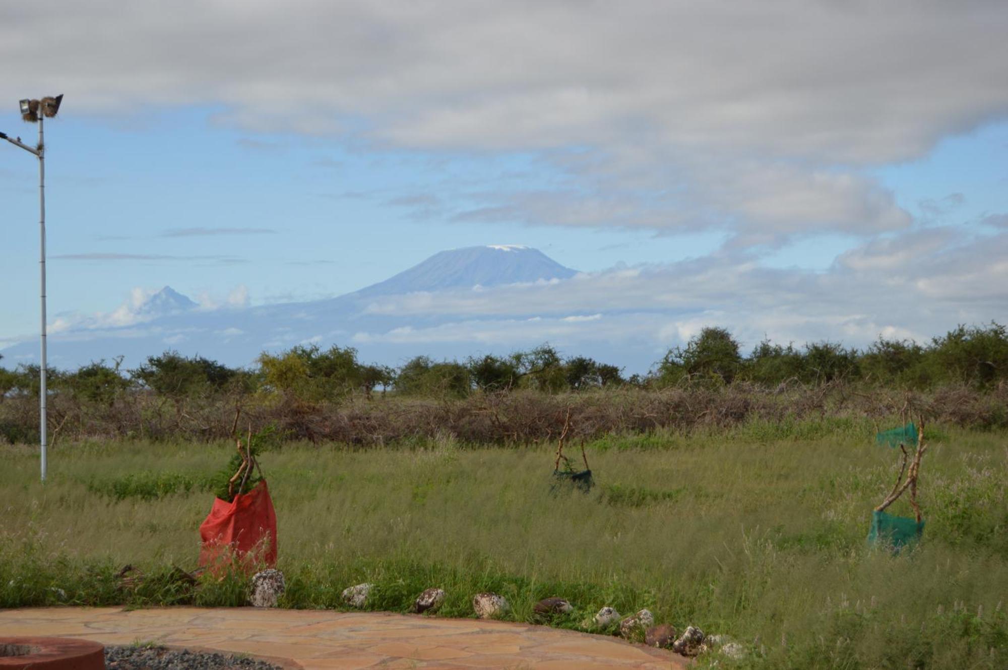 Country house Wild Ndovu Cottage. Amboseli