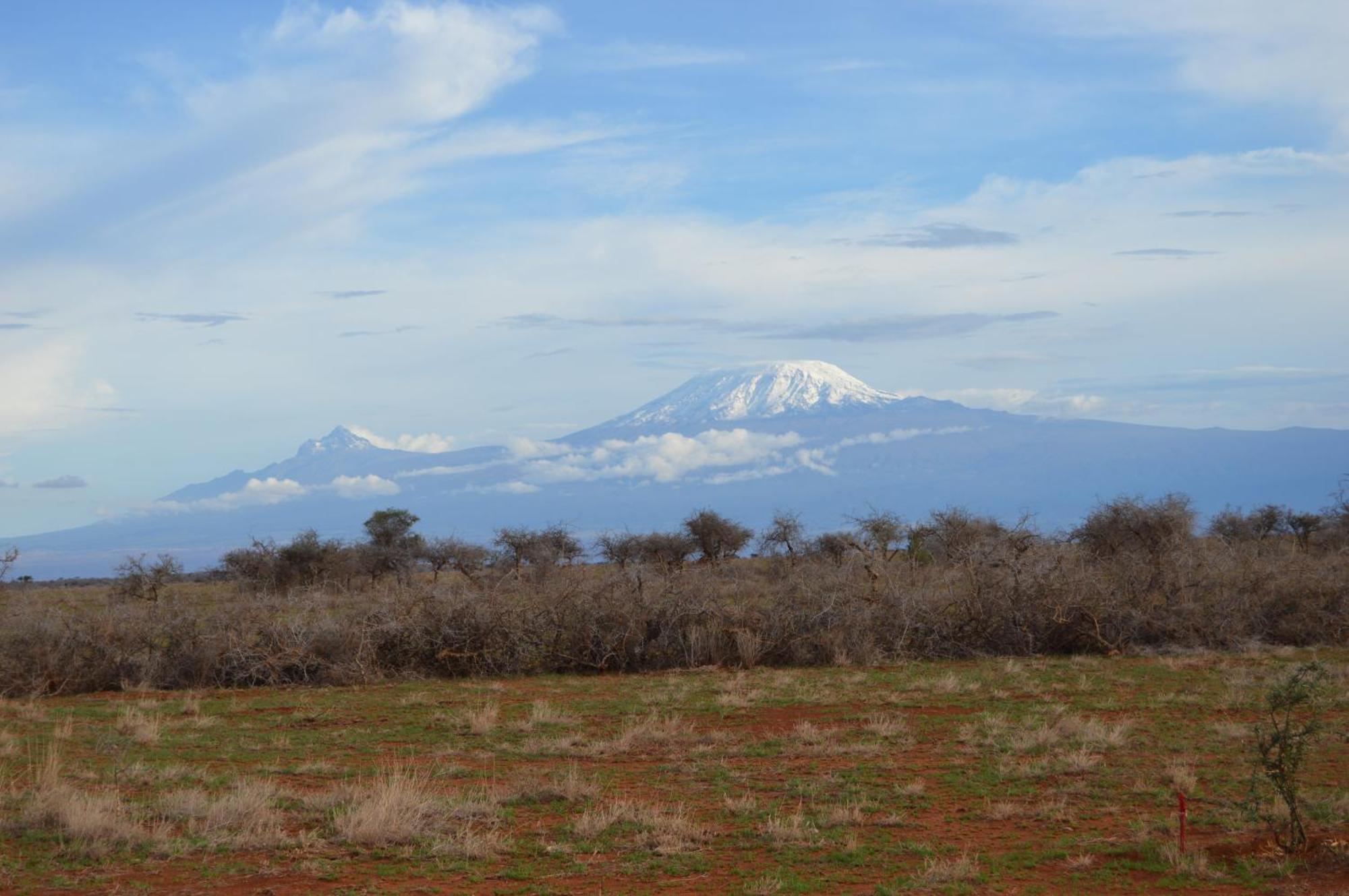 Wild Ndovu Cottage. Amboseli